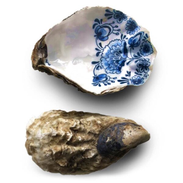 Handpainted oyster Zeeuwsblauw oester