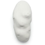 potato 02 - 19 x 8 cm