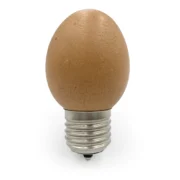 brown egg