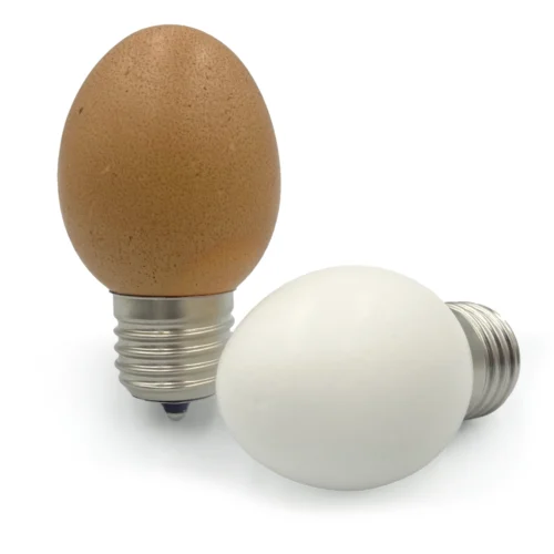 egglamp .ruben de haas