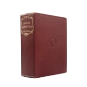 David Copperfield - 11 cm 480 pages