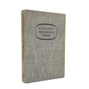 De jacht op de spiegel - 20,5x12,5 cm 220 pages